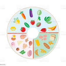 Gastric Sleeve Portion Plate