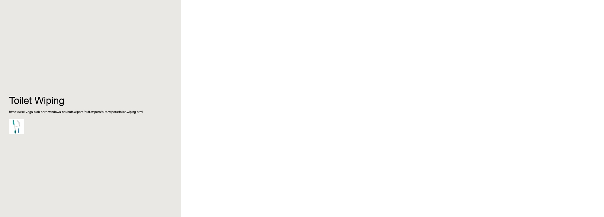 Toilet Wiping