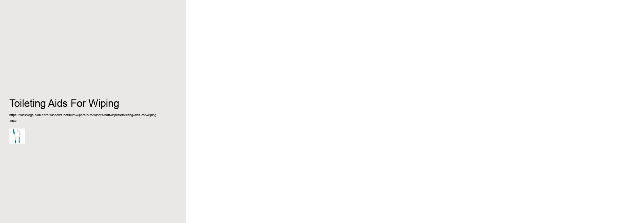 Toileting Aids For Wiping